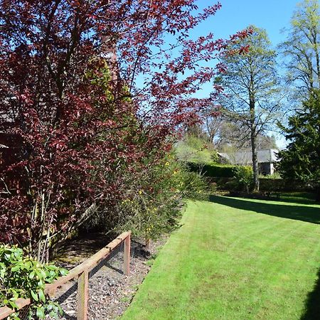 Auburn Cottage Arbroath Bagian luar foto